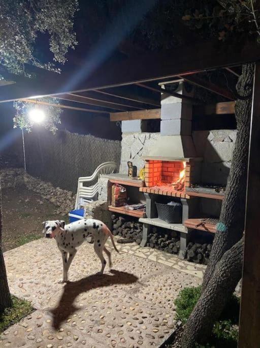 Desconexion Y Paz, Cabana En La Sierra Albalate De Zorita Eksteriør billede